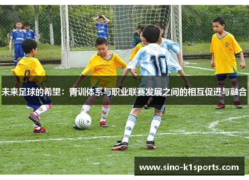 未来足球的希望：青训体系与职业联赛发展之间的相互促进与融合
